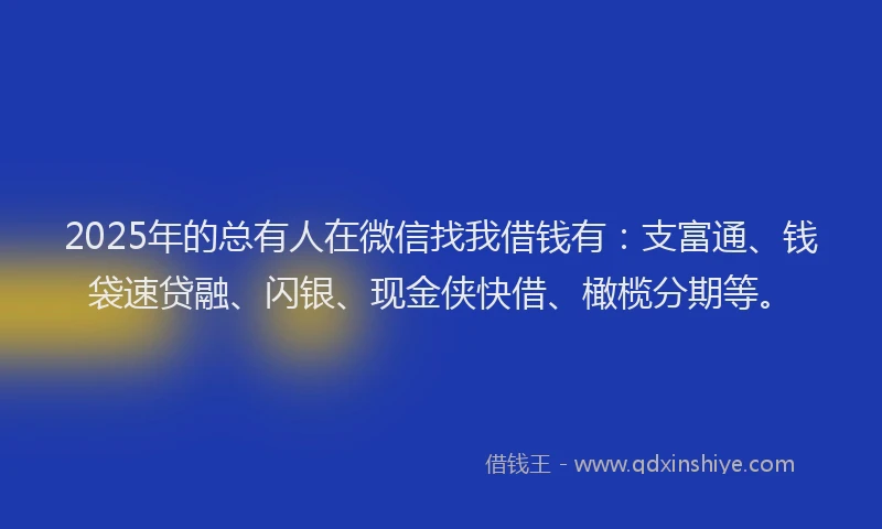 2025年的总有人在微信找我借钱有：支富通、钱袋速贷融、闪银、现金侠快借、橄榄分期等。