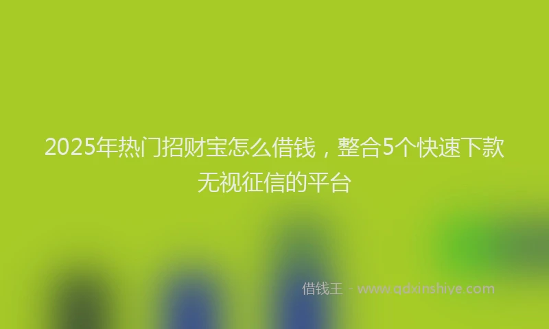 2025年热门招财宝怎么借钱，整合5个快速下款无视征信的平台