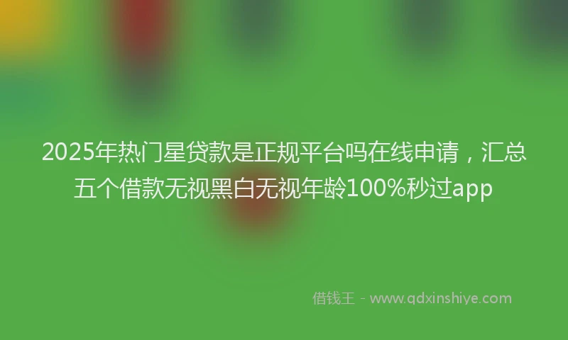 2025年热门星贷款是正规平台吗在线申请，汇总五个借款无视黑白无视年龄100%秒过app