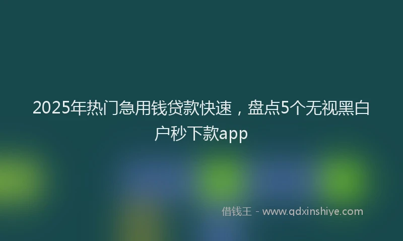 2025年热门急用钱贷款快速，盘点5个无视黑白户秒下款app