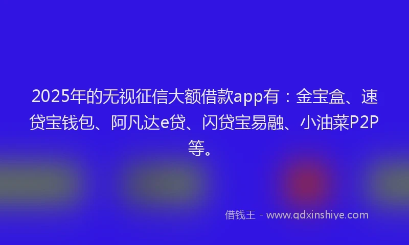 2025年的无视征信大额借款app有：金宝盒、速贷宝钱包、阿凡达e贷、闪贷宝易融、小油菜P2P等。