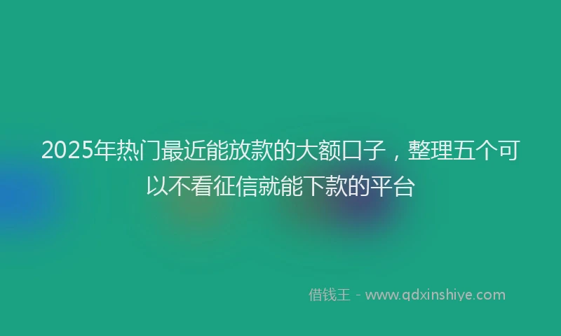 2025年热门最近能放款的大额口子，整理五个可以不看征信就能下款的平台