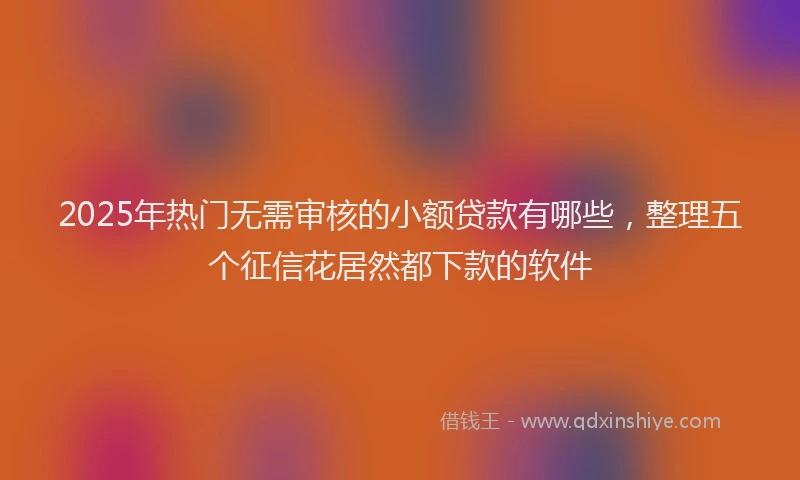 2025年热门无需审核的小额贷款有哪些，整理五个征信花居然都下款的软件
