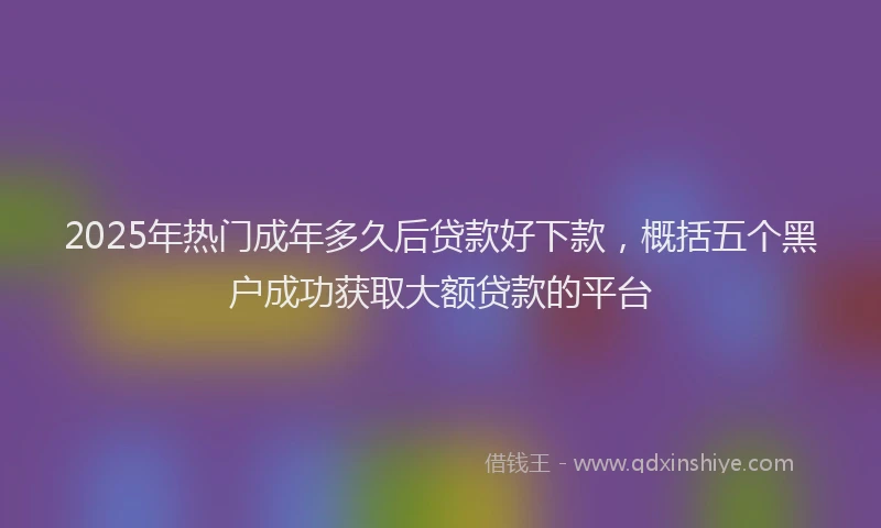 2025年热门成年多久后贷款好下款，概括五个黑户成功获取大额贷款的平台