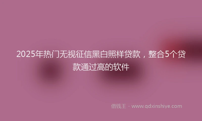 2025年热门无视征信黑白照样贷款，整合5个贷款通过高的软件
