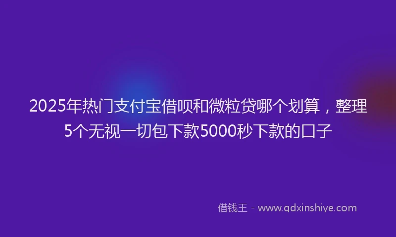 2025年热门支付宝借呗和微粒贷哪个划算，整理5个无视一切包下款5000秒下款的口子