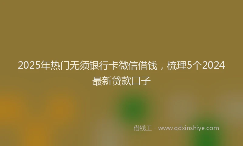 2025年热门无须银行卡微信借钱，梳理5个2024最新贷款口子