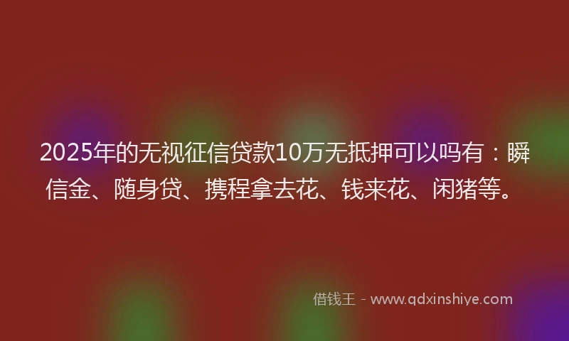 2025年的无视征信贷款10万无抵押可以吗有：瞬信金、随身贷、携程拿去花、钱来花、闲猪等。