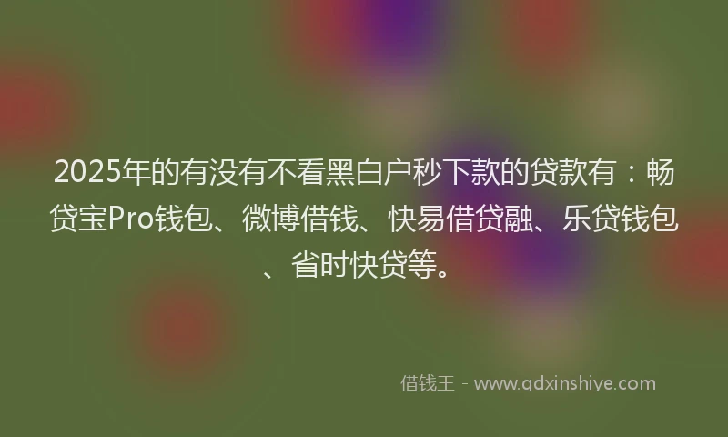 2025年的有没有不看黑白户秒下款的贷款有：畅贷宝Pro钱包、微博借钱、快易借贷融、乐贷钱包、省时快贷等。