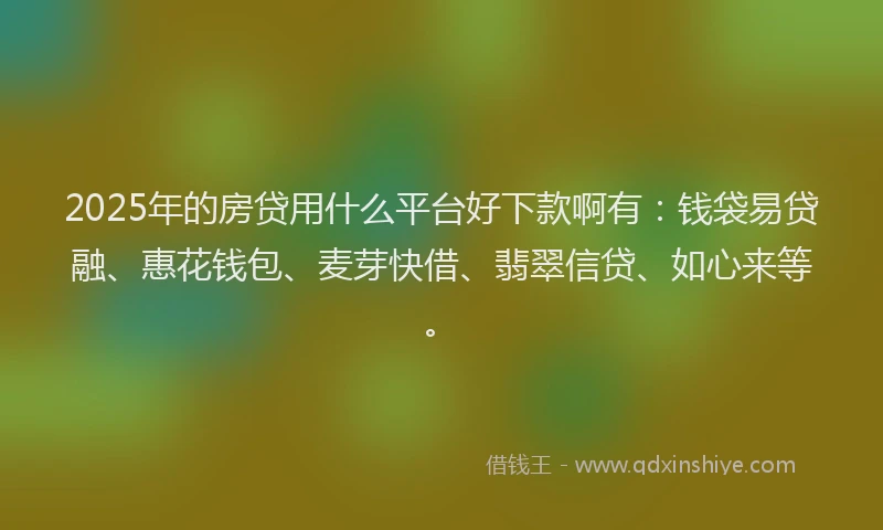 2025年的房贷用什么平台好下款啊有：钱袋易贷融、惠花钱包、麦芽快借、翡翠信贷、如心来等。