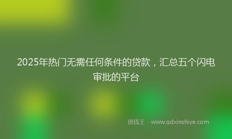 2025年热门无需任何条件的贷款，汇总五个闪电审批的平台