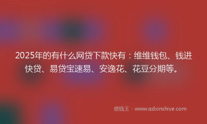 2025年的有什么网贷下款快有：维维钱包、钱进快贷、易贷宝速易、安逸花、花豆分期等。