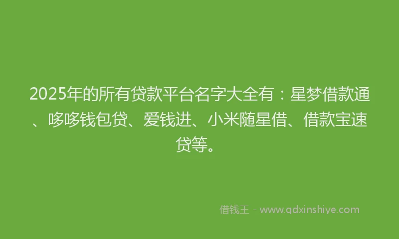 2025年的所有贷款平台名字大全有：星梦借款通、哆哆钱包贷、爱钱进、小米随星借、借款宝速贷等。