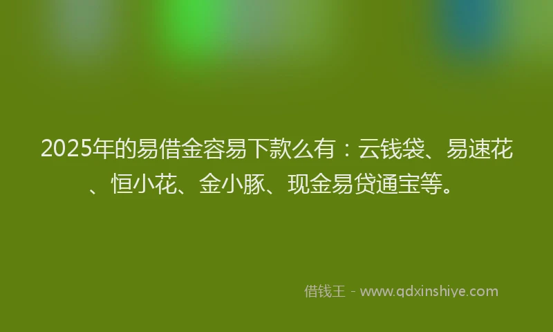 2025年的易借金容易下款么有：云钱袋、易速花、恒小花、金小豚、现金易贷通宝等。