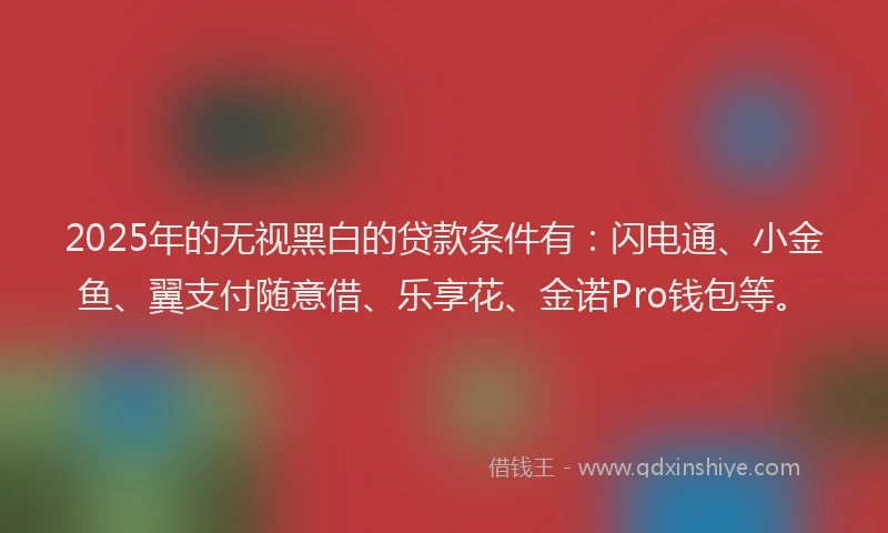2025年的无视黑白的贷款条件有：闪电通、小金鱼、翼支付随意借、乐享花、金诺Pro钱包等。