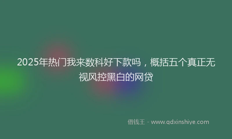 2025年热门我来数科好下款吗，概括五个真正无视风控黑白的网贷