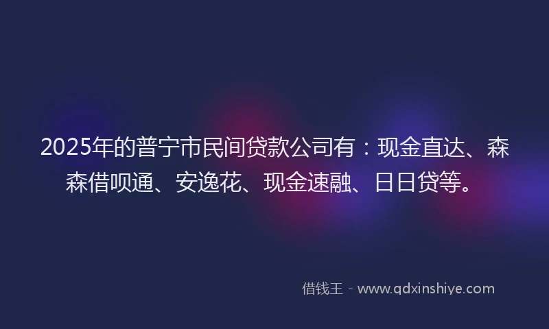 2025年的普宁市民间贷款公司有：现金直达、森森借呗通、安逸花、现金速融、日日贷等。