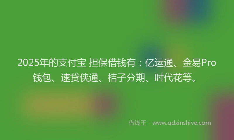 2025年的支付宝 担保借钱有：亿运通、金易Pro钱包、速贷侠通、桔子分期、时代花等。