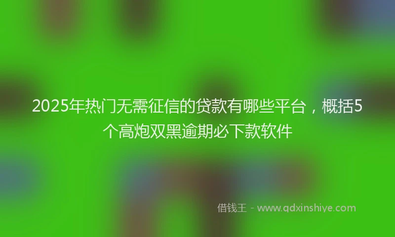 2025年热门无需征信的贷款有哪些平台，概括5个高炮双黑逾期必下款软件