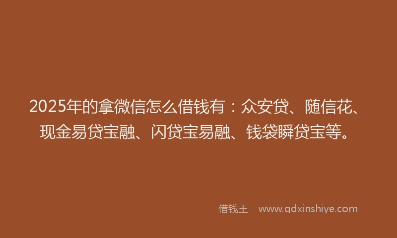 2025年的拿微信怎么借钱有：众安贷、随信花、现金易贷宝融、闪贷宝易融、钱袋瞬贷宝等。