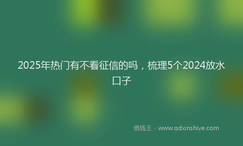 2025年热门有不看征信的吗，梳理5个2024放水口子