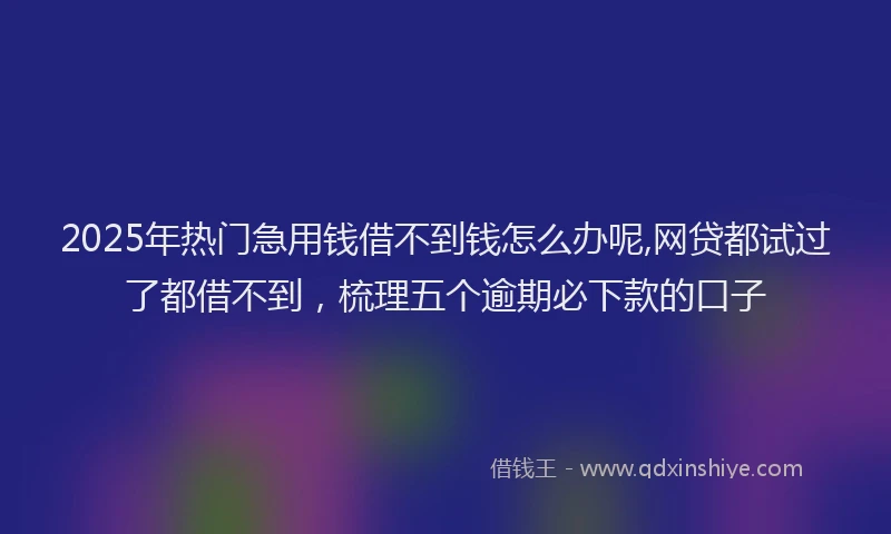 2025年热门急用钱借不到钱怎么办呢,网贷都试过了都借不到，梳理五个逾期必下款的口子