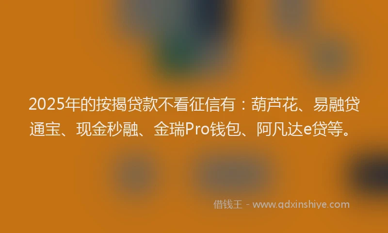 2025年的按揭贷款不看征信有：葫芦花、易融贷通宝、现金秒融、金瑞Pro钱包、阿凡达e贷等。
