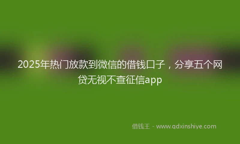 2025年热门放款到微信的借钱口子，分享五个网贷无视不查征信app