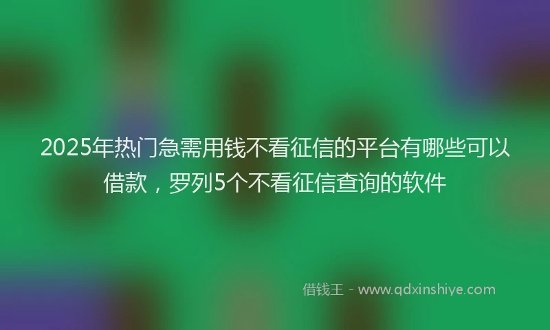 2025年热门急需用钱不看征信的平台有哪些可以借款，罗列5个不看征信查询的软件