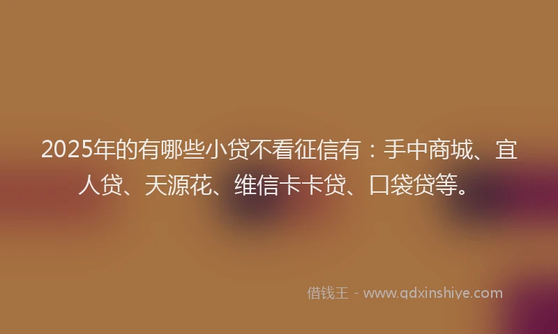 2025年的有哪些小贷不看征信有：手中商城、宜人贷、天源花、维信卡卡贷、口袋贷等。