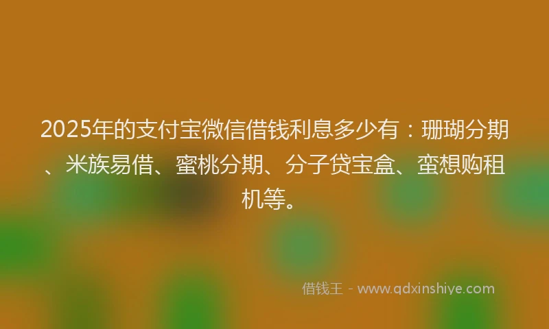 2025年的支付宝微信借钱利息多少有：珊瑚分期、米族易借、蜜桃分期、分子贷宝盒、蛮想购租机等。