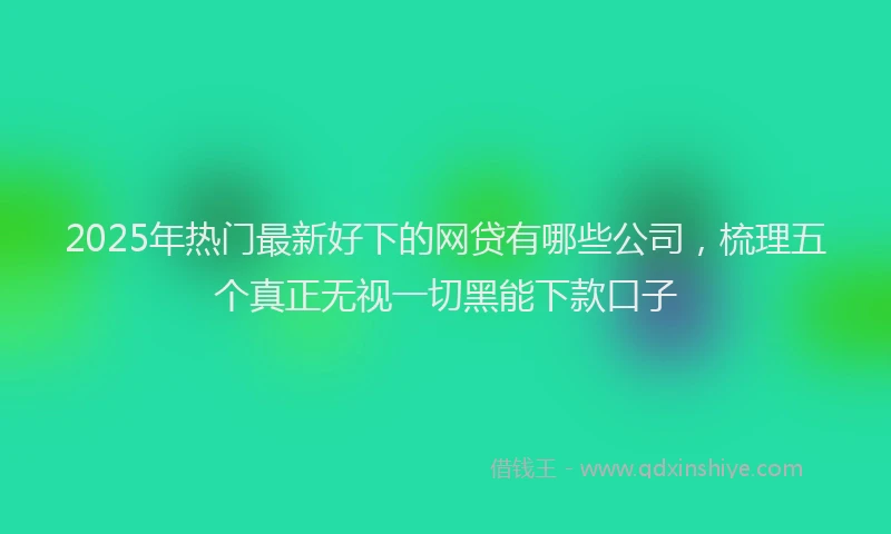 2025年热门最新好下的网贷有哪些公司，梳理五个真正无视一切黑能下款口子