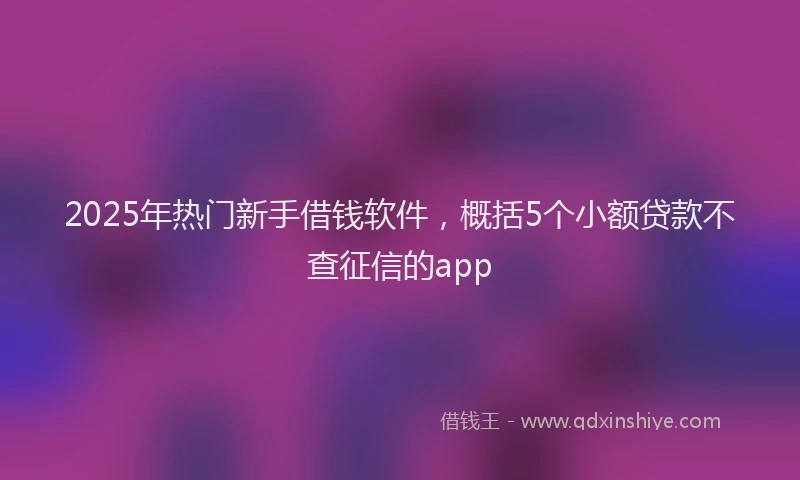 2025年热门新手借钱软件，概括5个小额贷款不查征信的app