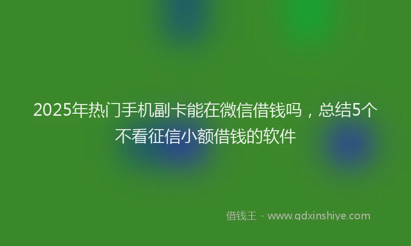 2025年热门手机副卡能在微信借钱吗，总结5个不看征信小额借钱的软件