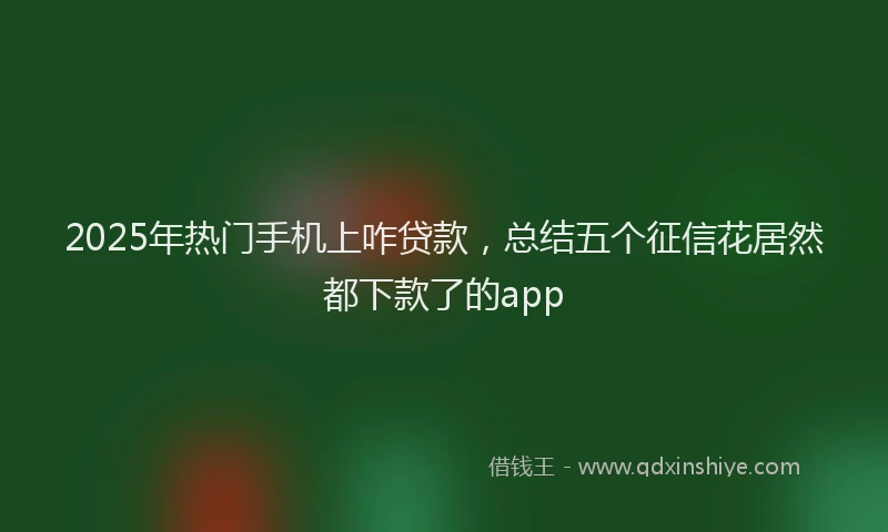 2025年热门手机上咋贷款，总结五个征信花居然都下款了的app
