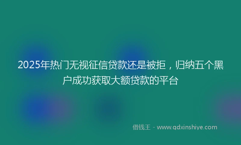 2025年热门无视征信贷款还是被拒，归纳五个黑户成功获取大额贷款的平台