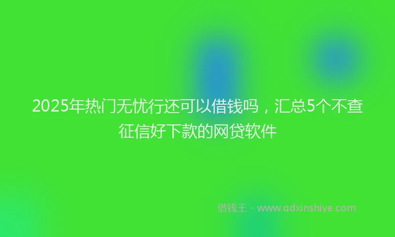 2025年热门无忧行还可以借钱吗，汇总5个不查征信好下款的网贷软件