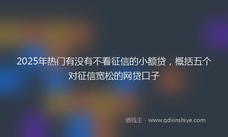 2025年热门有没有不看征信的小额贷，概括五个对征信宽松的网贷口子