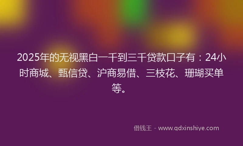 2025年的无视黑白一千到三千贷款口子有：24小时商城、甄信贷、沪商易借、三枝花、珊瑚买单等。