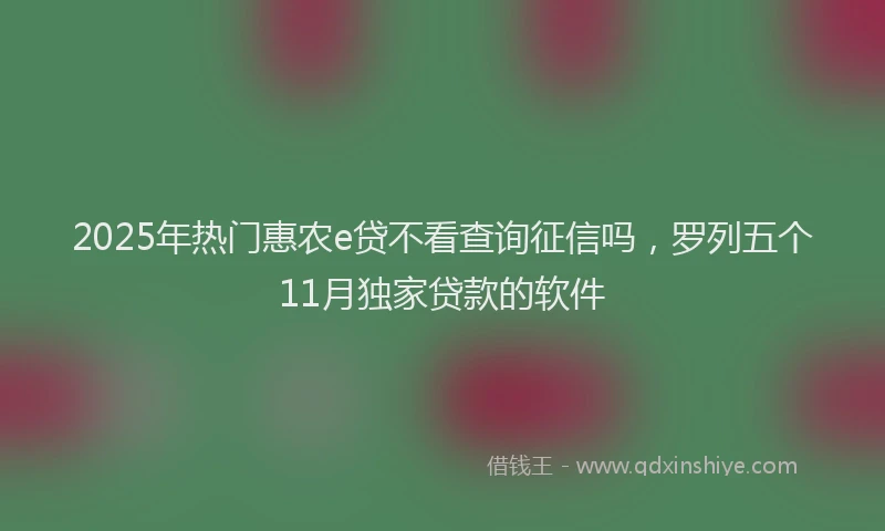 2025年热门惠农e贷不看查询征信吗，罗列五个11月独家贷款的软件