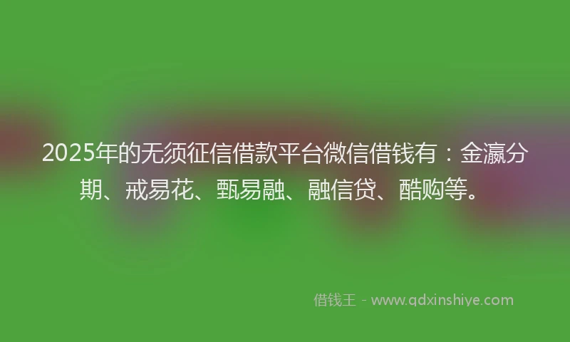 2025年的无须征信借款平台微信借钱有：金瀛分期、戒易花、甄易融、融信贷、酷购等。