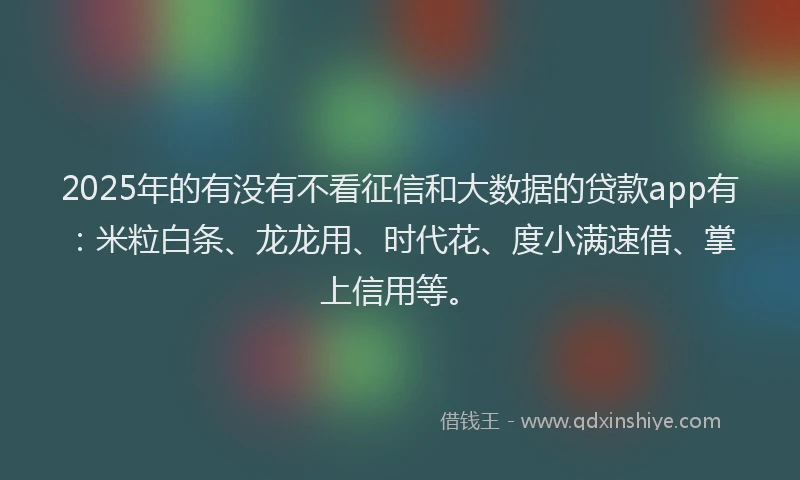 2025年的有没有不看征信和大数据的贷款app有：米粒白条、龙龙用、时代花、度小满速借、掌上信用等。