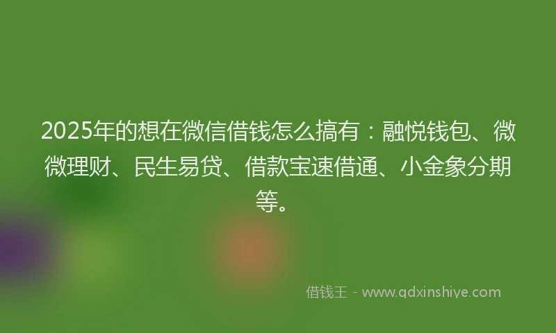 2025年的想在微信借钱怎么搞有：融悦钱包、微微理财、民生易贷、借款宝速借通、小金象分期等。
