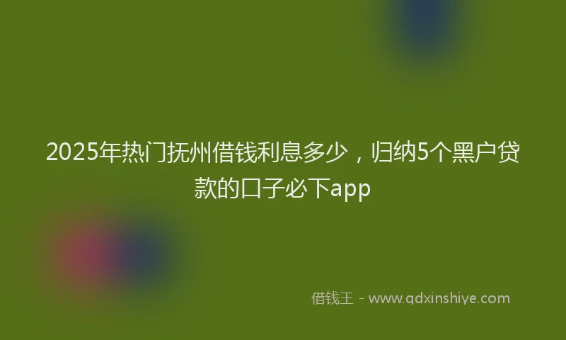 2025年热门抚州借钱利息多少，归纳5个黑户贷款的口子必下app
