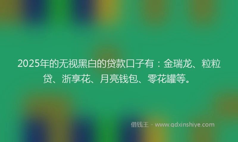 2025年的无视黑白的贷款口子有：金瑞龙、粒粒贷、浙享花、月亮钱包、零花罐等。