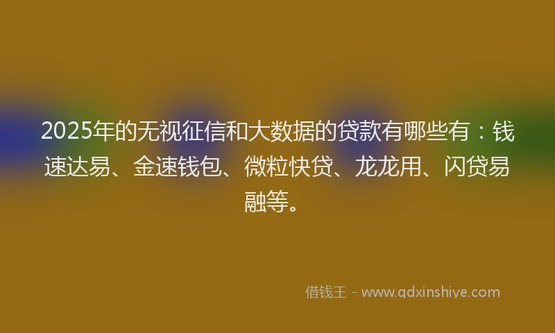 2025年的无视征信和大数据的贷款有哪些有：钱速达易、金速钱包、微粒快贷、龙龙用、闪贷易融等。