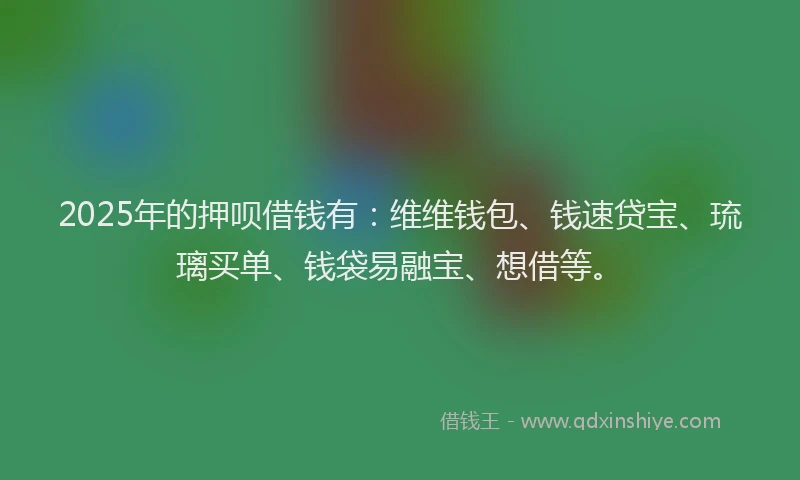 2025年的押呗借钱有：维维钱包、钱速贷宝、琉璃买单、钱袋易融宝、想借等。