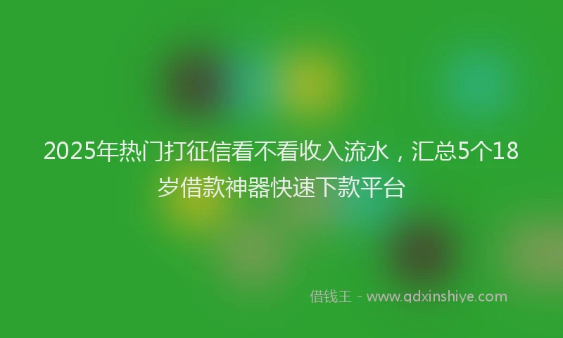 2025年热门打征信看不看收入流水，汇总5个18岁借款神器快速下款平台