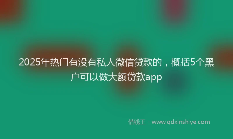 2025年热门有没有私人微信贷款的，概括5个黑户可以做大额贷款app