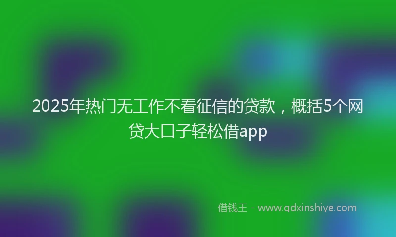 2025年热门无工作不看征信的贷款，概括5个网贷大口子轻松借app